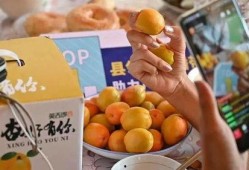 新疆网红吃瓜事件后续,真相发酵，网络舆论再掀波澜